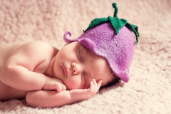 newborn-1328454_960_720